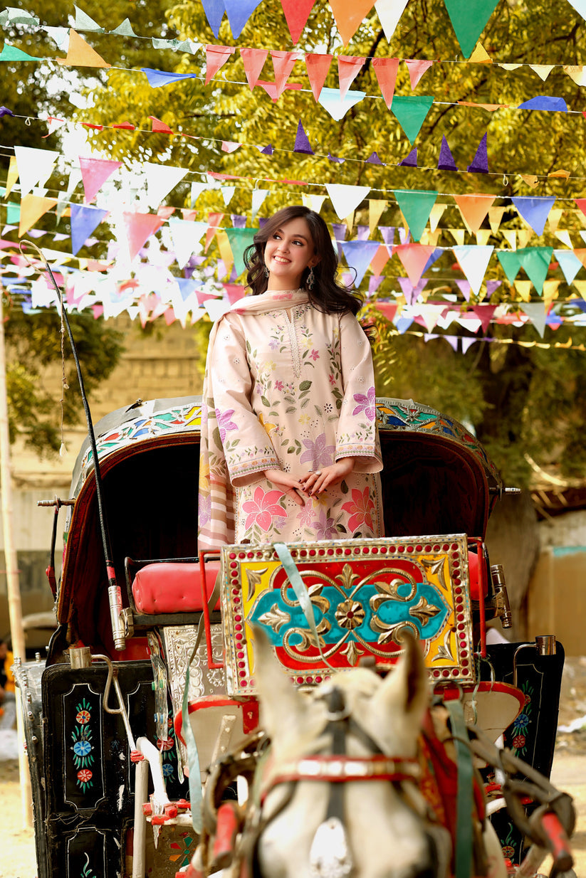 Aneela Embroidered 3Pcs