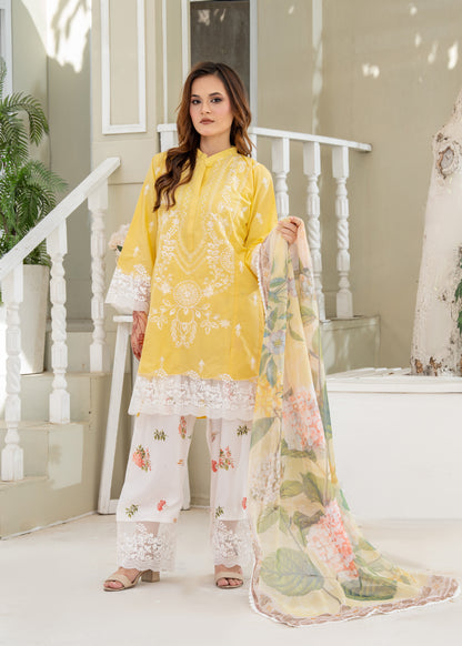 MELLOW 3PC ( FARSHI SHALWAR )